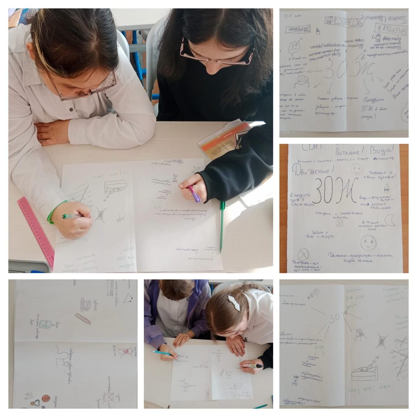 sch50_krg_1775536996_3869807108988654463_13204184636