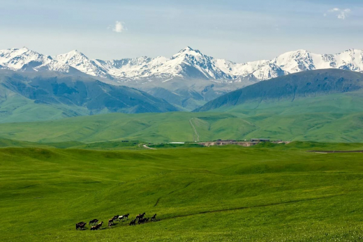 Қалыбекқызы Гүлнур