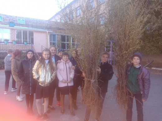 Абеужанова С.М.