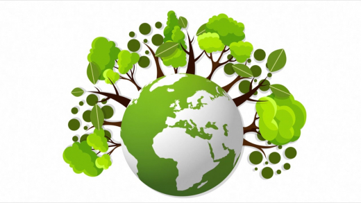 Касымбева А.М.