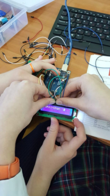 Цыберняк Е.А.