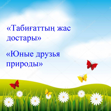 Абушакимова Асем Темирхановна