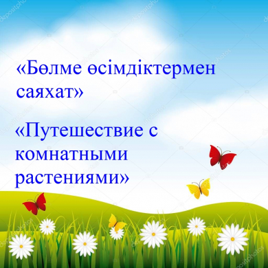 Бекмурзаева Айкерим Лескановна