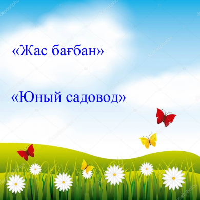 Катпатаева Кулшат Кабыловна